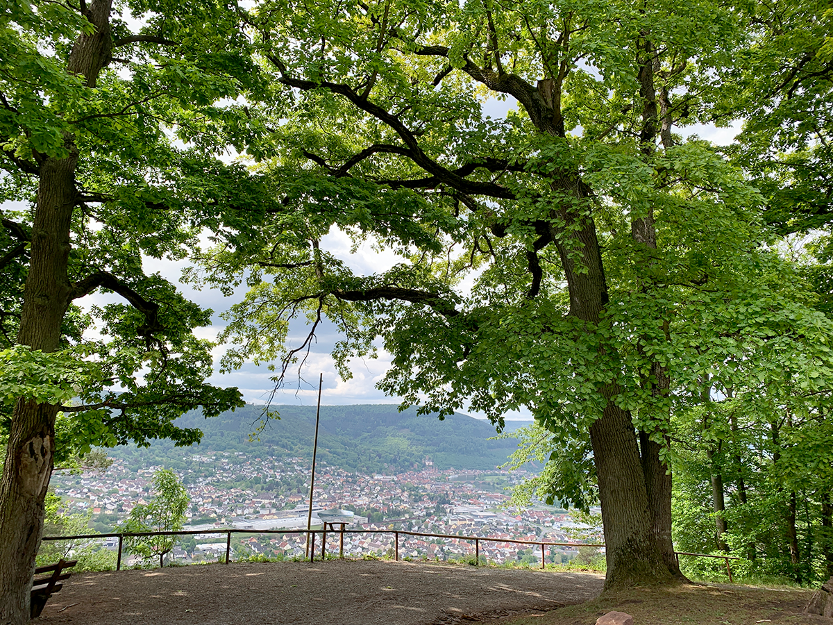 Eichen an der Centgrafenkapelle Bürgstadt